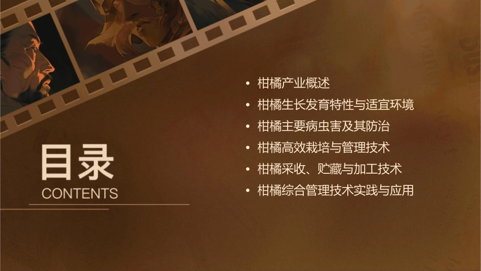柑橘综合管理技术课件_第2页