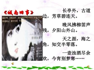 爸爸的花儿落了夏才兰