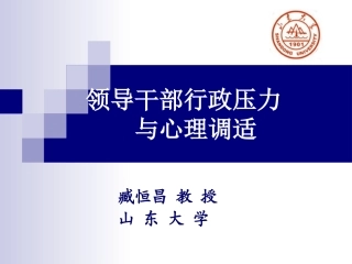 领导干部行政压力与心理调适(20100527)