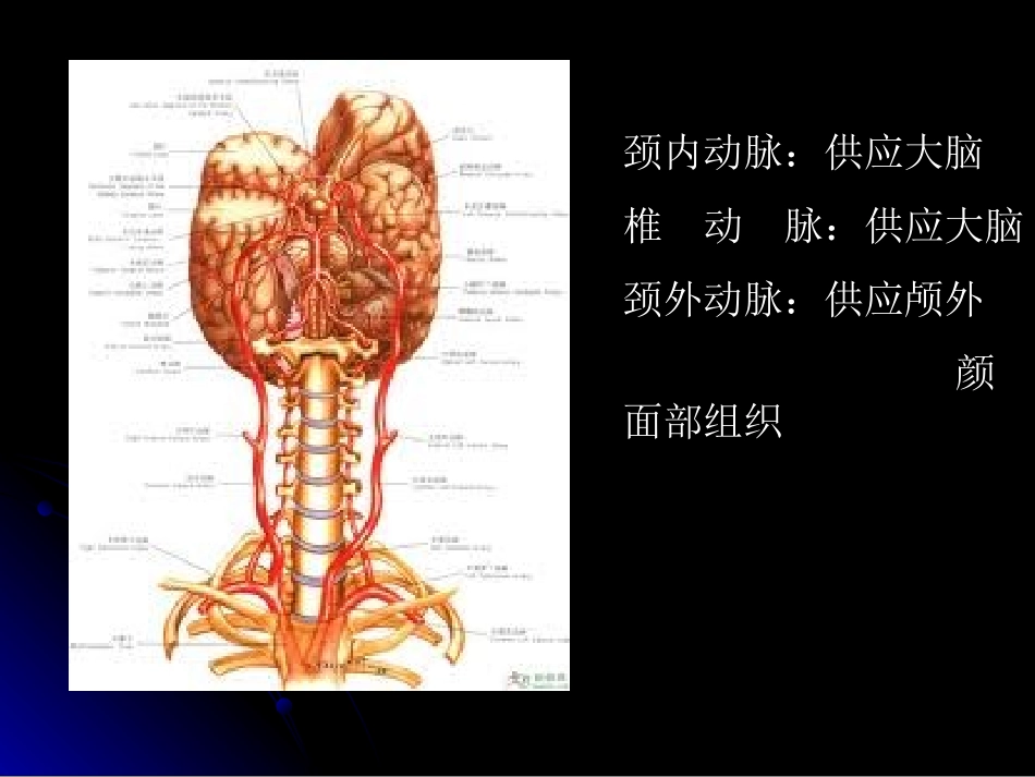 颈动脉、椎动脉超声检查范春芝2011_第2页