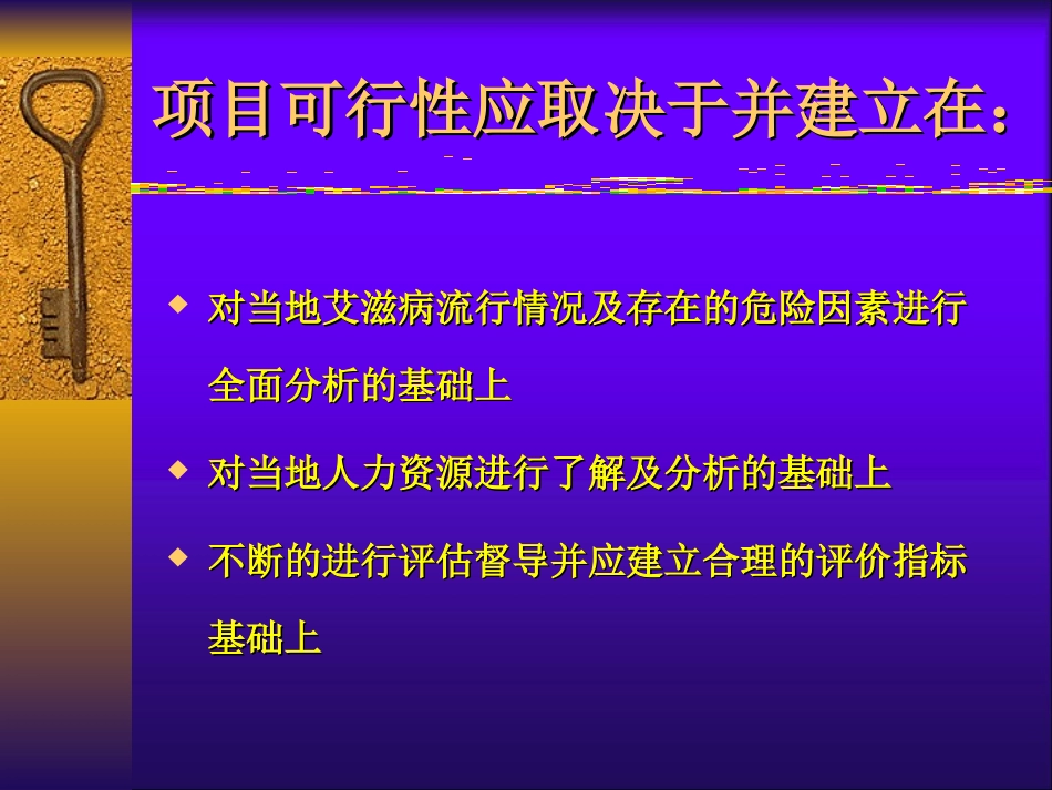 项目可行性分析——艾滋病控制项目在中国的实践_第2页