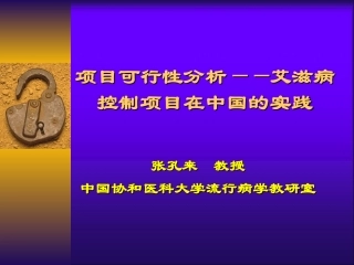 项目可行性分析——艾滋病控制项目在中国的实践