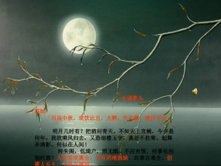 记成天寺夜游