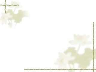 面积和面积单位课件