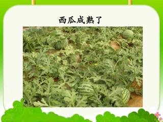 《连加、连减》