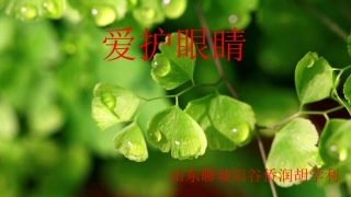 青岛版复式条统计图