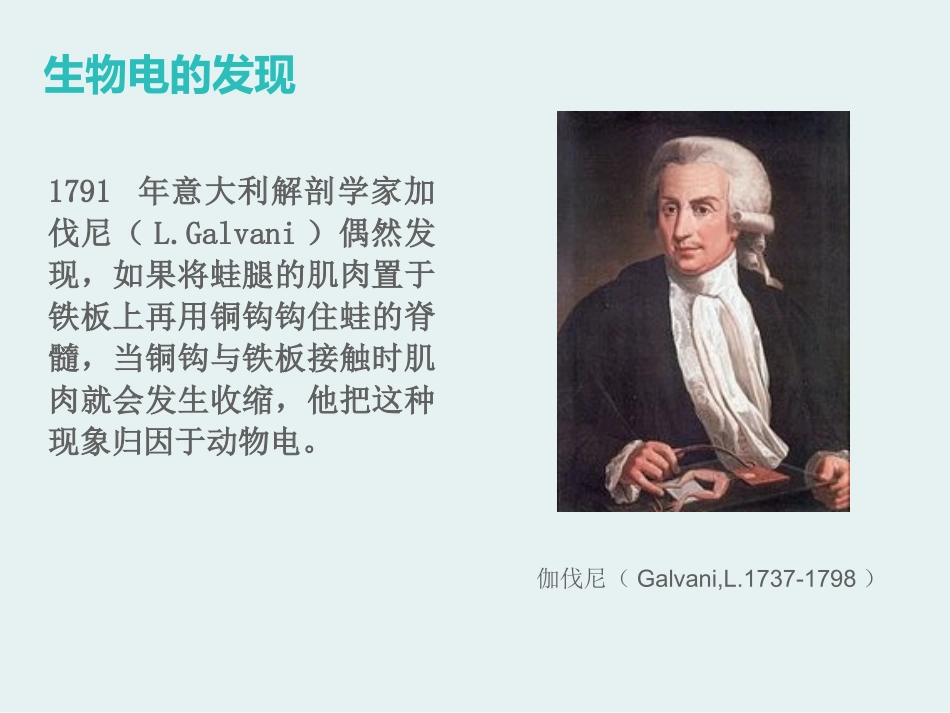 静息电势和动作电势_第2页