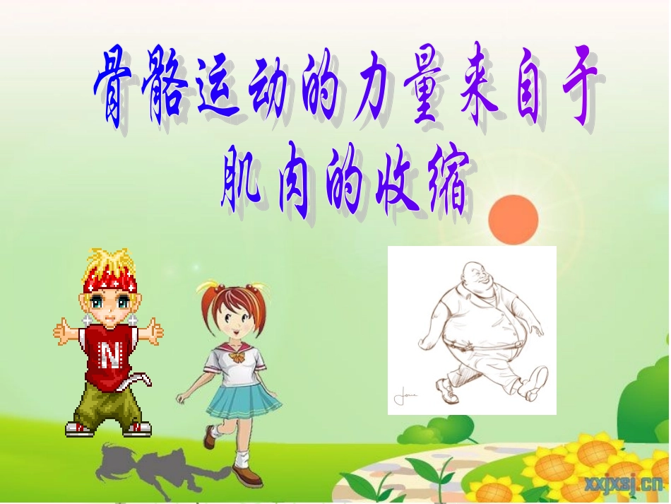 青岛版科学三年级下册18课肌肉课件PPT_第3页