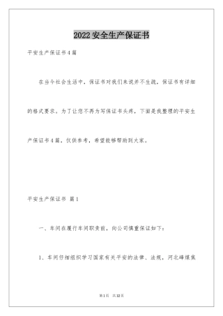 2024安全生产保证书_24