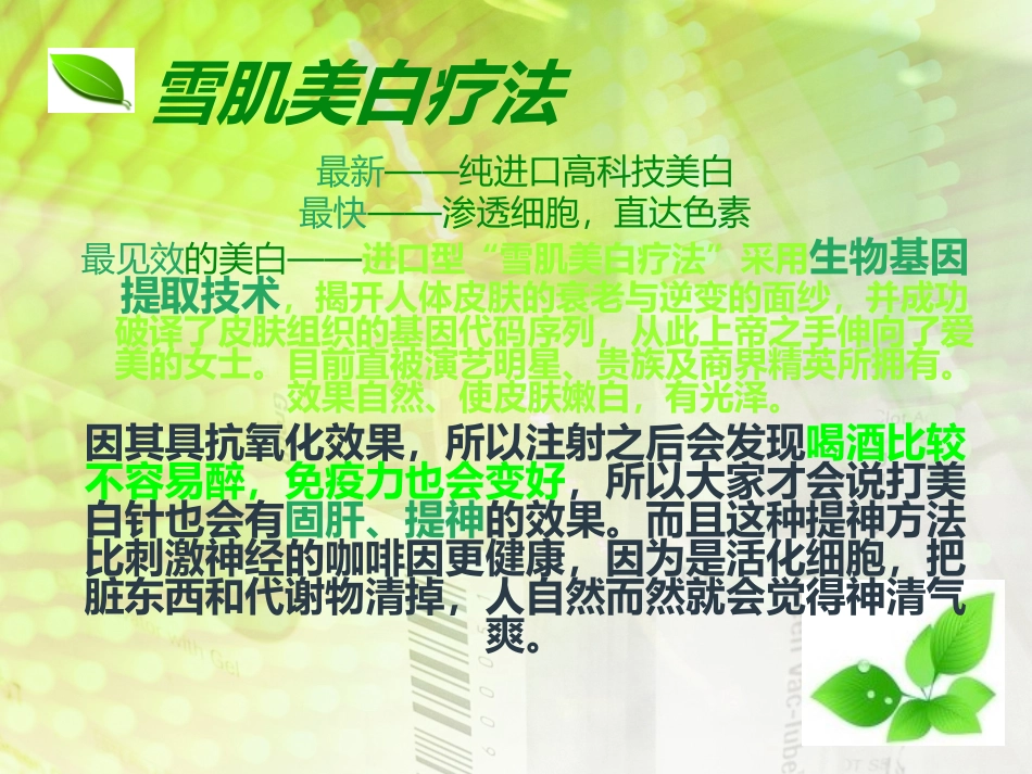 雪肌美白疗法1幻灯片_第2页