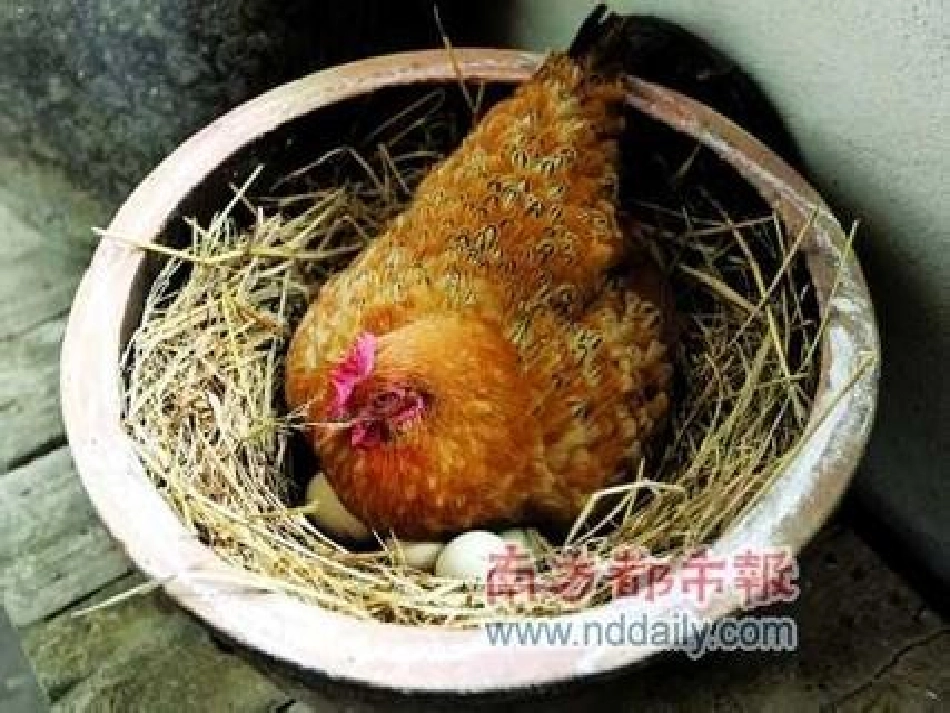日记两则 (2)_第2页
