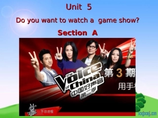 2013新人教版八年级上册Unit5DoyouwanttowatchagameshowSectionA