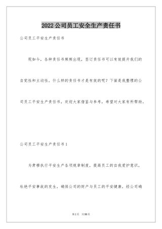 2024公司员工安全生产责任书