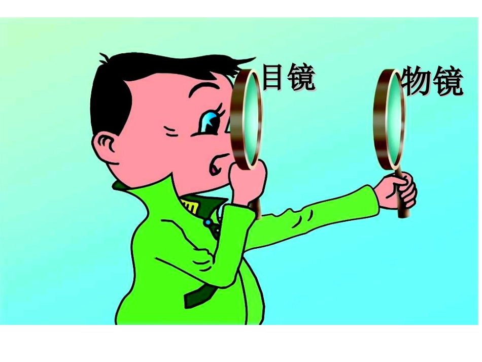 八年级物理《显微镜和望远镜》课件_第2页