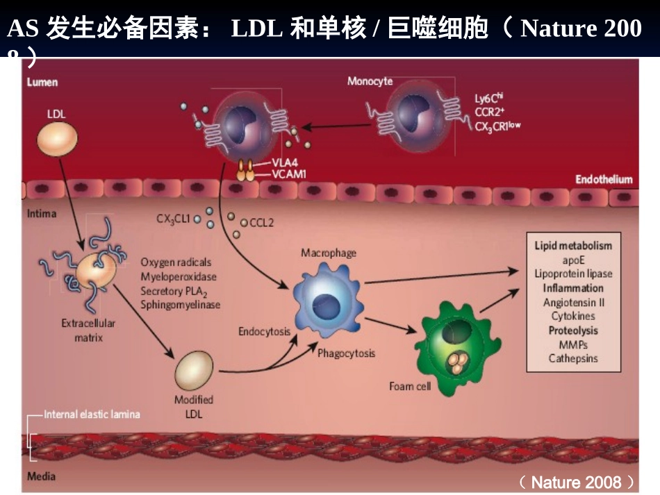 降胆固醇治疗的新思路_第2页