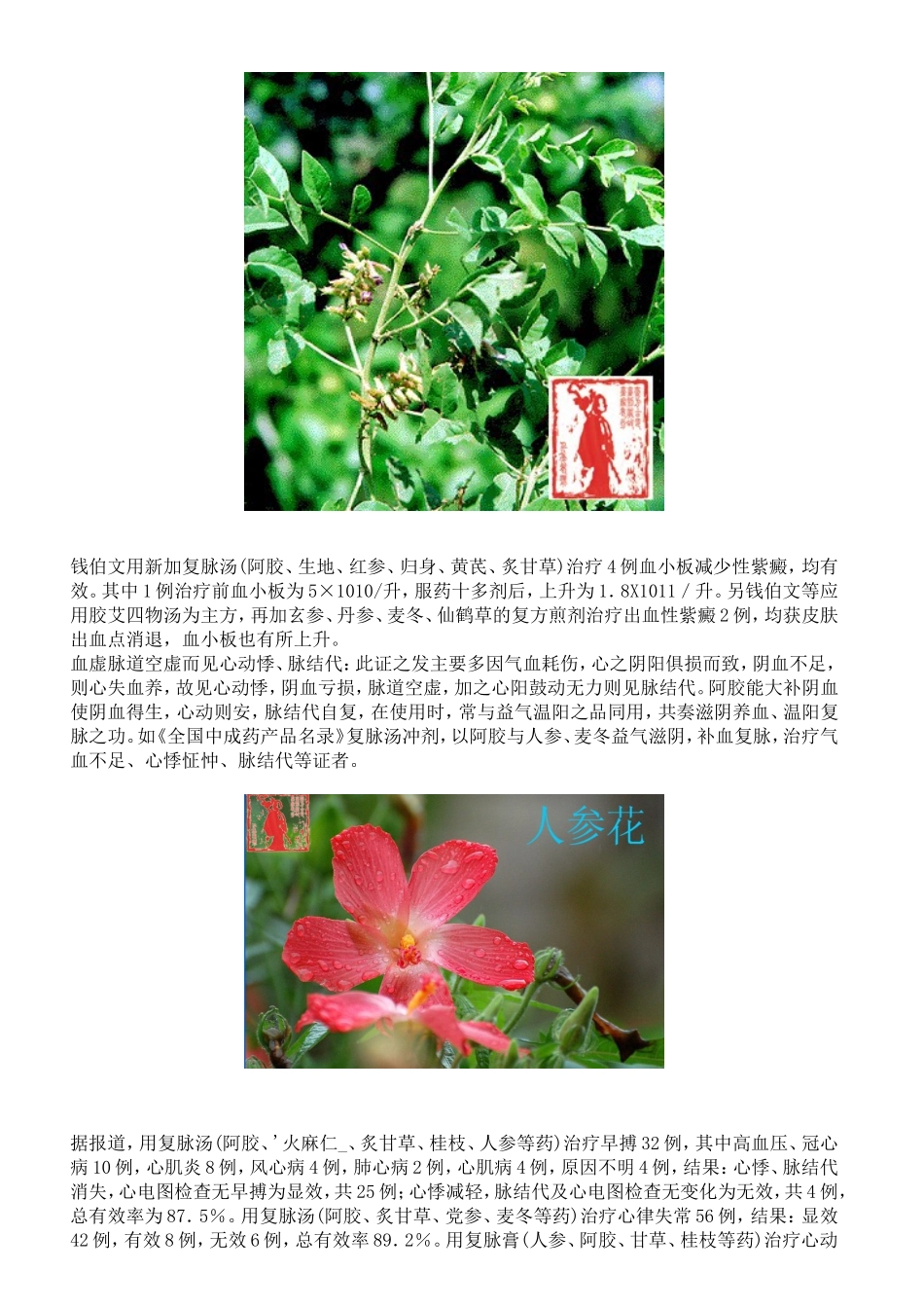 阿胶的配伍应用——复方应用_第2页
