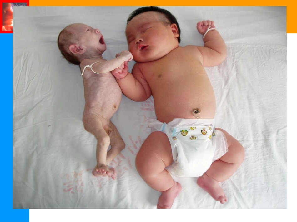 陈欣林-产科超声与临床_第3页