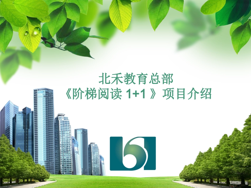 阶梯阅读1+1项目介绍_第1页