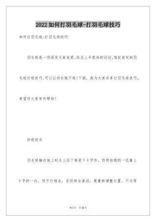 2024如何打羽毛球-打羽毛球技巧