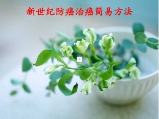 防癌两常见中草药