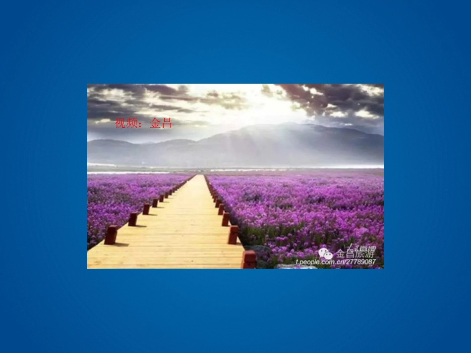 镍与人体健康_第2页