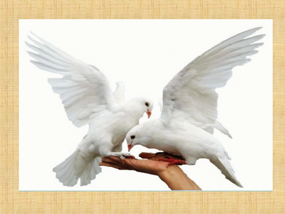 儿童和平条约_第1页