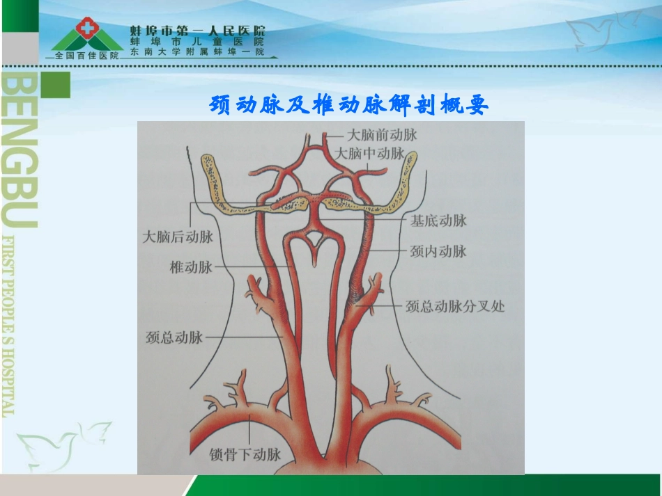 锁骨下动脉盗血综合征详解_第2页