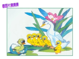 《巨人的花园》