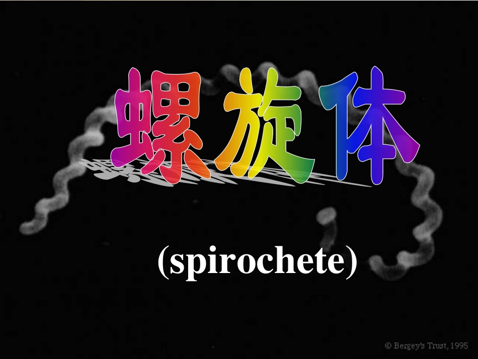 钩端螺旋体病08.6.1_第1页