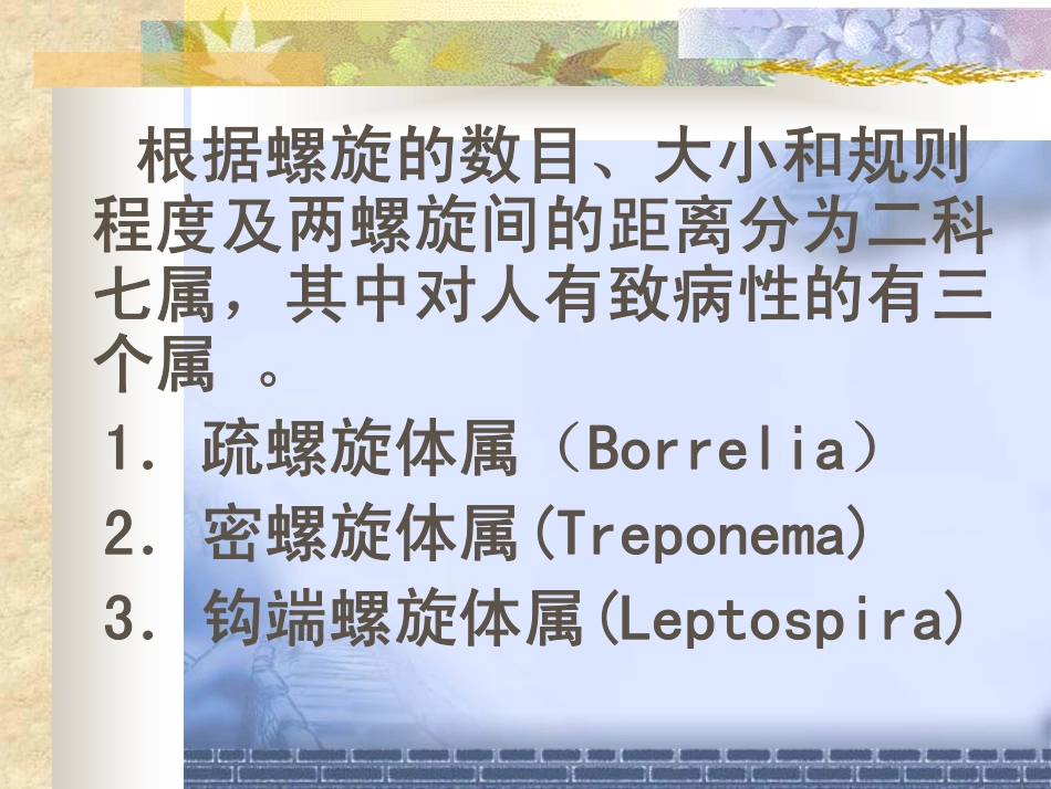 钩端螺旋体病08.6.1_第3页