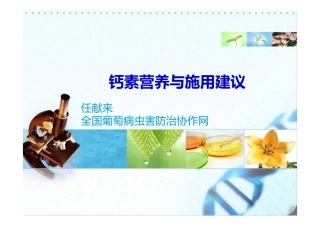 钙素营养与施用建议