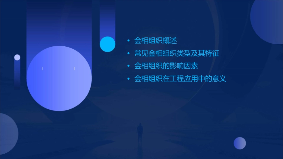 常见金相组织图片通用课件_第2页