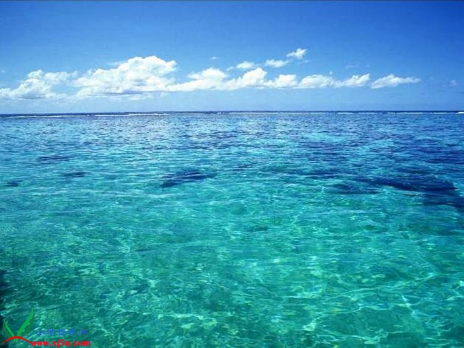 富饶的西沙群岛课件_第2页