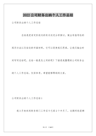2024公司财务出纳个人工作总结_1