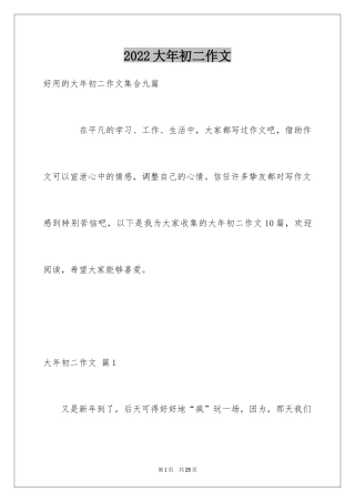 2024大年初二作文_48