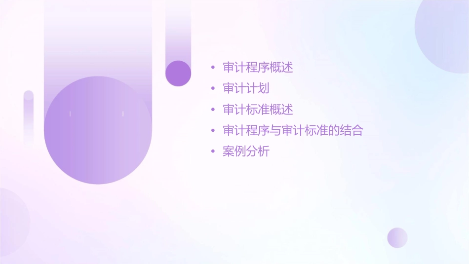 审计程序与审计标准课件_第2页