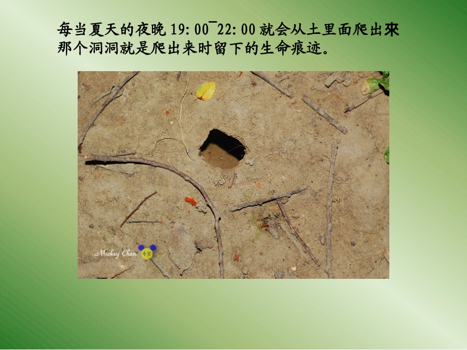 金蝉脱壳的全过程_第2页