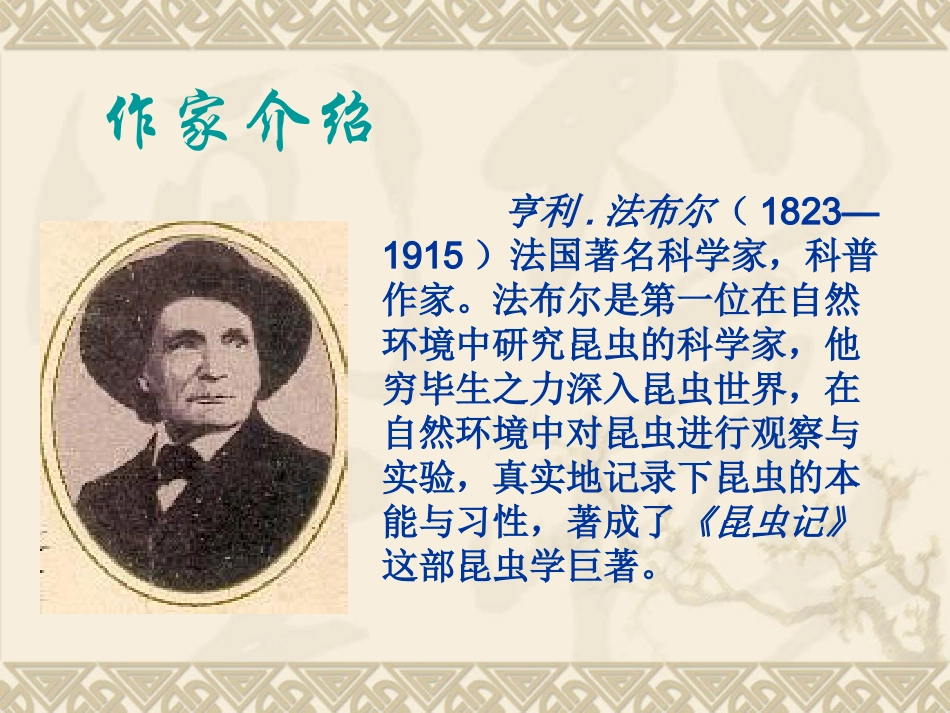 《绿色蝈蝈》_第2页