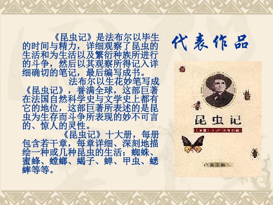《绿色蝈蝈》_第3页