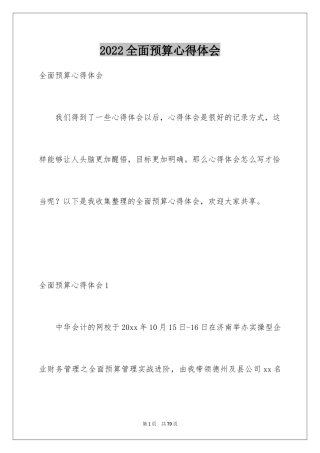 2024全面预算心得体会