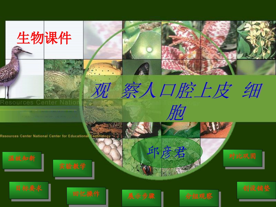 邱彦君课件《观察人体口腔上皮细胞》_第1页