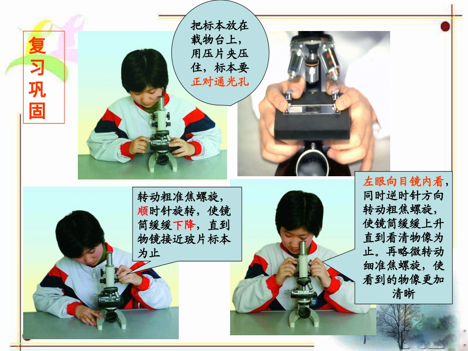 邱彦君课件《观察人体口腔上皮细胞》_第3页