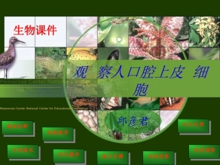 邱彦君课件《观察人体口腔上皮细胞》