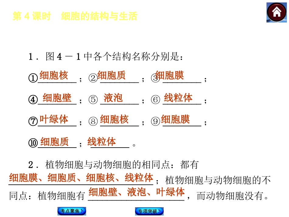 2015生物中考总复习课件（考点聚焦+归类探究+回归教材）：第4课时　细胞的结构与生活_第3页