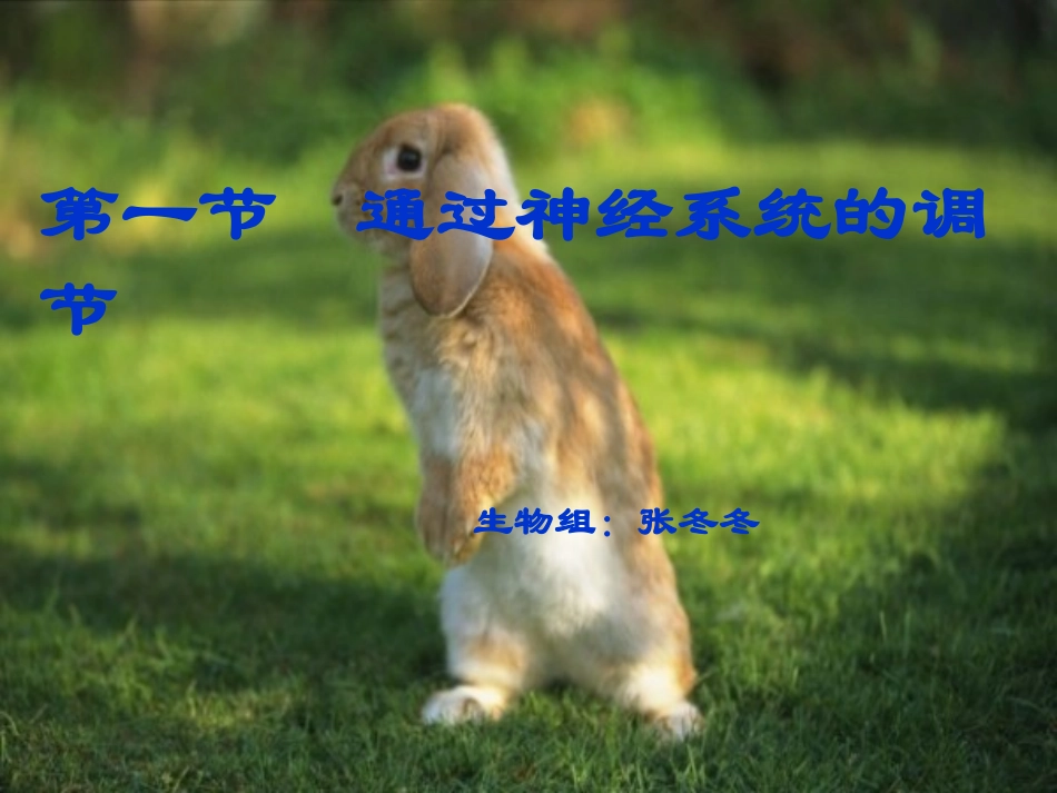 通过神经系统的调节讲课文稿(完成)_第1页