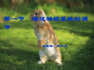 通过神经系统的调节讲课文稿(完成)
