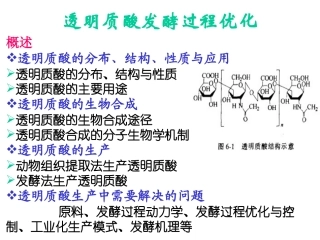 透明质酸发酵过程优化