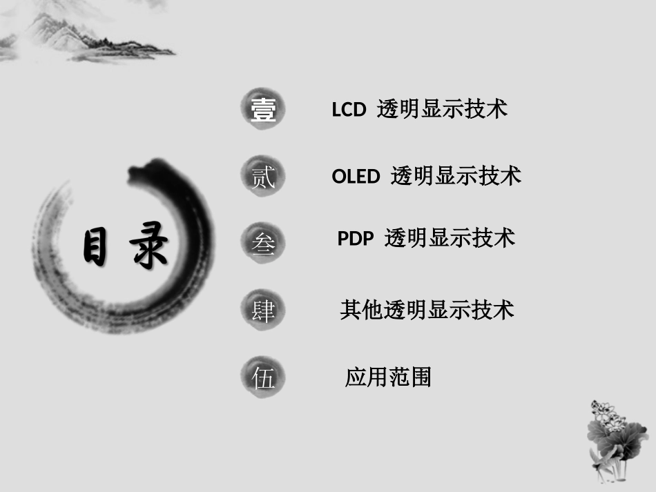透明显示技术_第2页