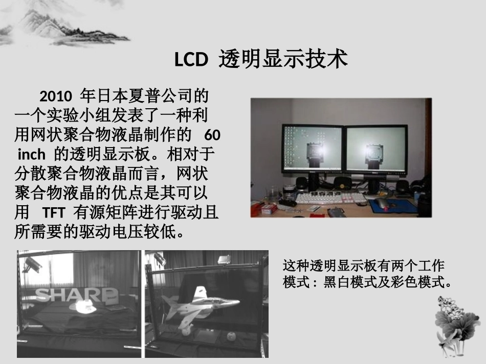 透明显示技术_第3页