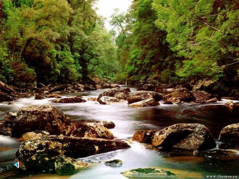 水就是生命(1)_第2页